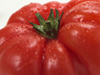 ʐ^fރTv